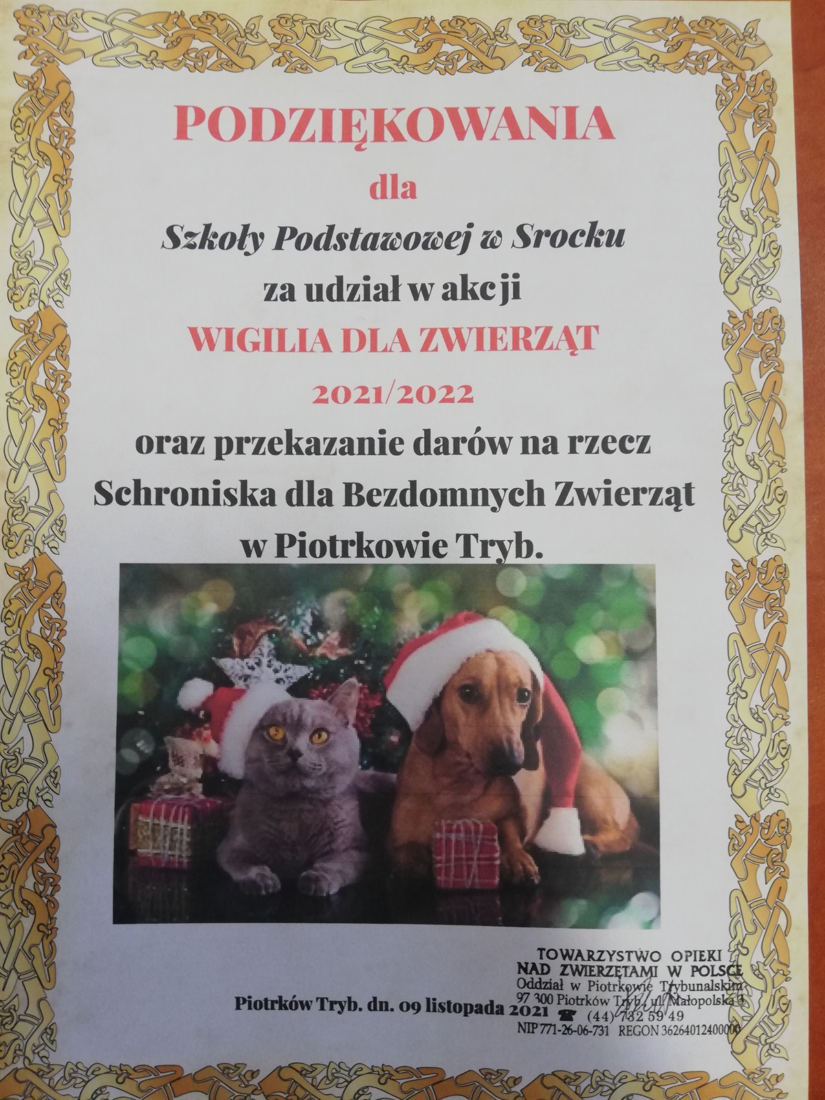 Schronisko